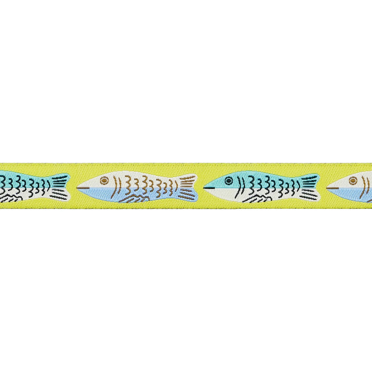 Ruby Star Society - Ooh Lucky Lucky - Sardines in Citron 5/8" Width Ribbon