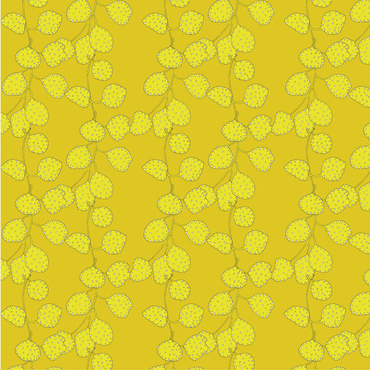 Sally Kelly - Sunshine - Honesty - Sunglow