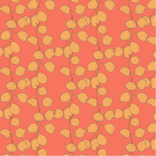 Sally Kelly - Sunshine - Honesty - Coral