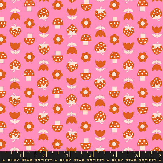 Ruby Star Society Picture Book - Strawbitties - Flamingo
