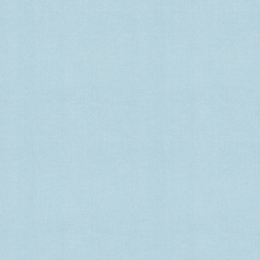 Ruby Star Society Warp & Weft - Hue Crossweaves - Clear