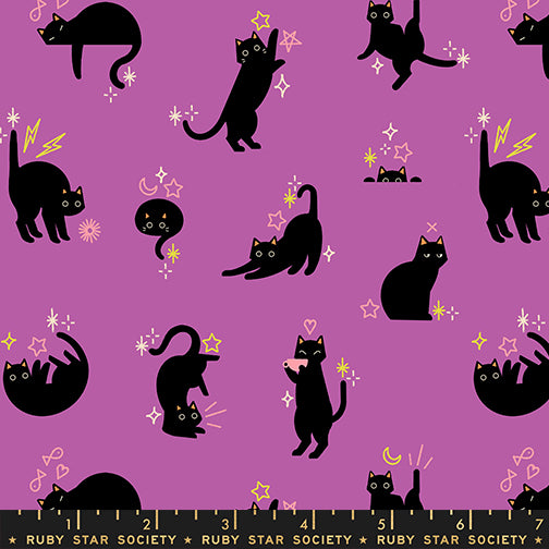 Ruby Star Society Freaky Familiars - Catwalk - Witchy