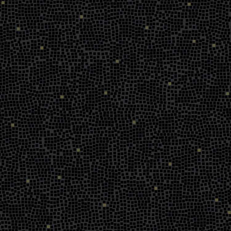 Ruby Star Society Pixel - Black