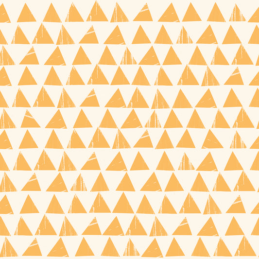 Ruby Star Society Sketchbook - Triangles Cantaloupe